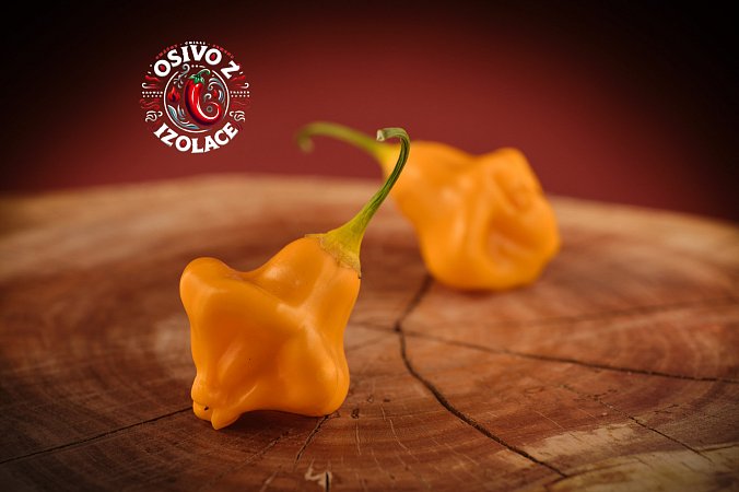 Aji Fantasy Orange - ISO | Chilli semena
