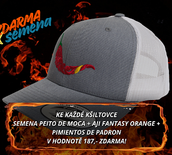 Kšiltovka chilli head - RETRO TRUCKER grey