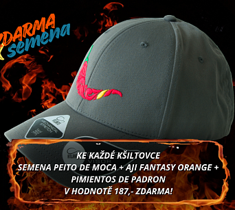 Kšiltovka chilli head - BOLT gray