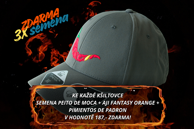 Kšiltovka chilli head - BOLT gray | Kšiltovka chilli