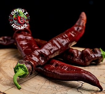 XL Long Brown Sweet - ISO