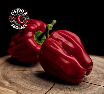 Criolla de Cocina - ISO