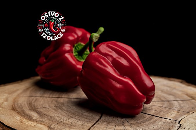 Criolla de Cocina - ISO | Chilli semena