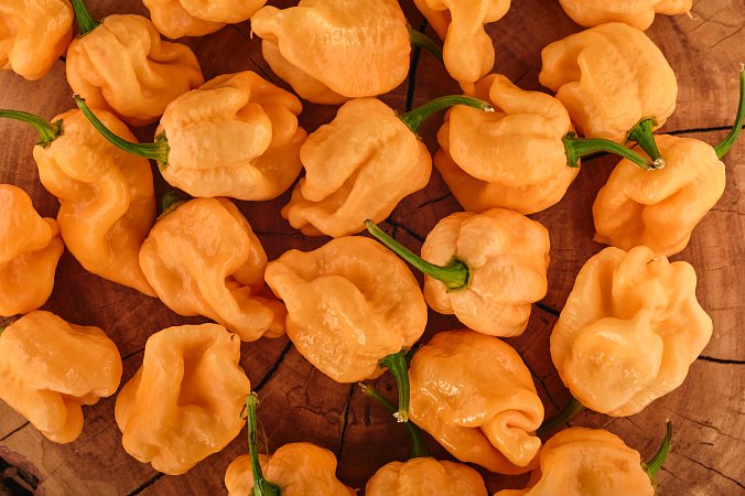 Bane Strain Peach | Chilli semena