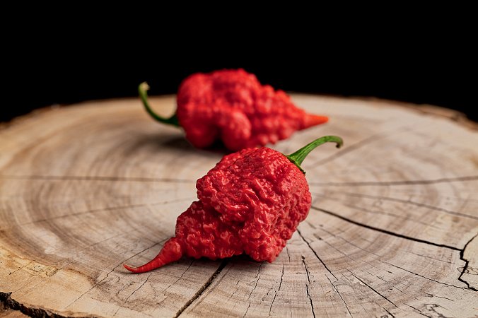 RB 003 - ISO | Chilli semena