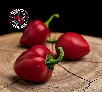 Cherry Bomb XL - ISO