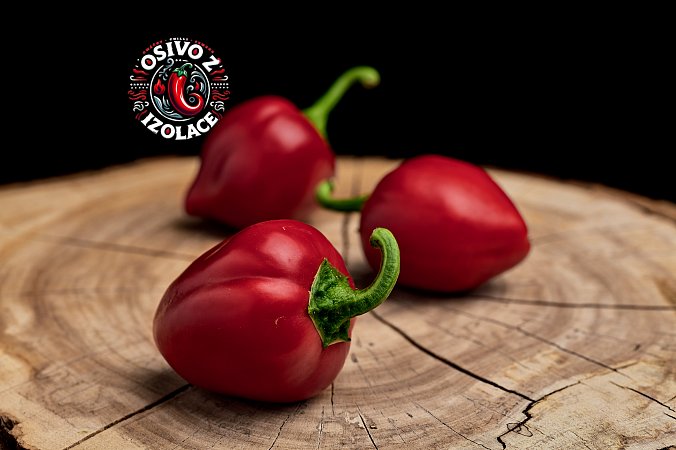 Cherry Bomb XL - ISO | Chilli semena