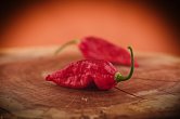 Naga Morich - ISO • | Chilli semena