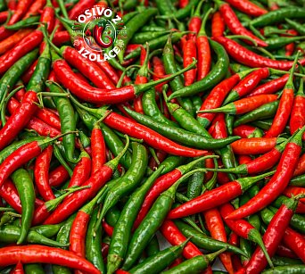 Korean Dark Green - ISO / Gochugaru - Kimchi