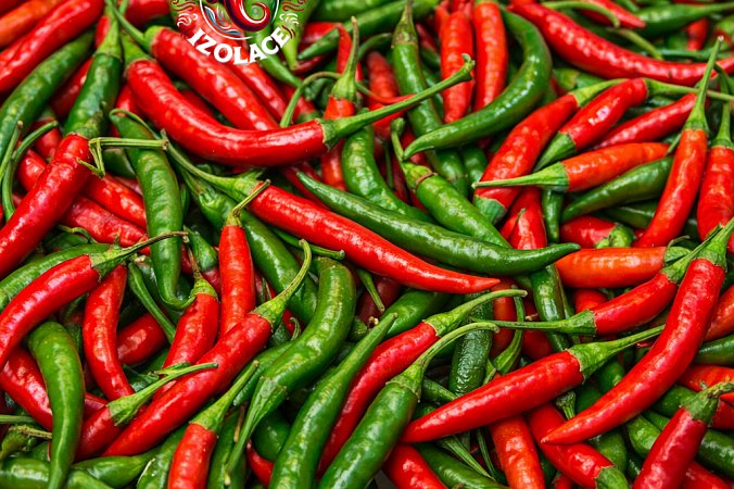 Korean Dark Green - ISO / Gochugaru - Kimchi | Chilli semena SO156