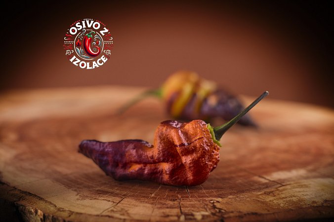 Pimenta del Oro - ISO | Chilli semena