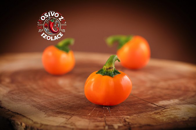 Carrot Bomb - ISO | Chilli semena