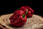 Criolla de Cocina - ISO | Chilli semena
