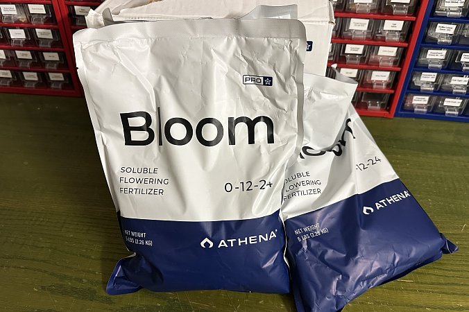 ATHENA - PRO line BLOOM (2,26kg)