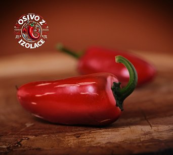 Jalapeno Biker Billy - ISO