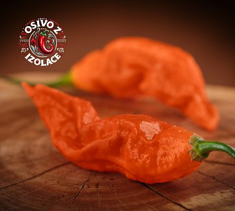 Bombay Morich Orange - ISO •