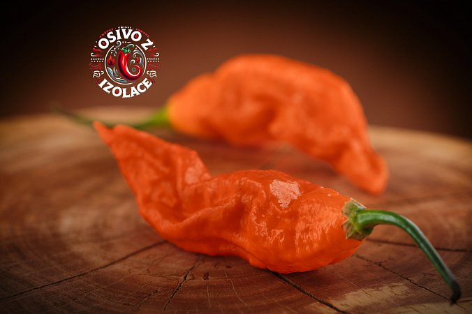 Bombay Morich Orange - ISO • | Chilli semena
