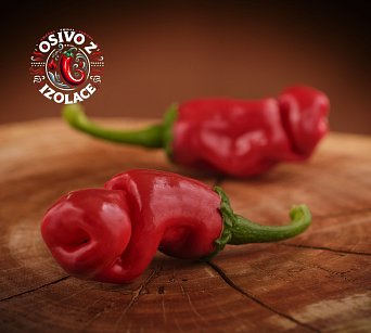 Red Peter Pepper - ISO •