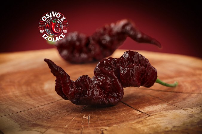 Primotalii Chocolate - ISO • | Chilli semena