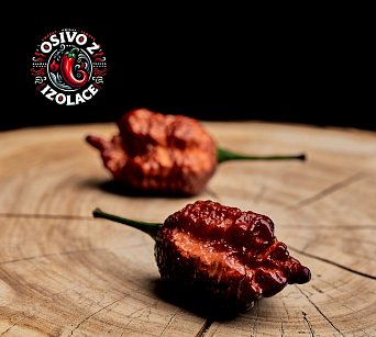 Crazy Boy Pink Peach Cream F8 - ISO