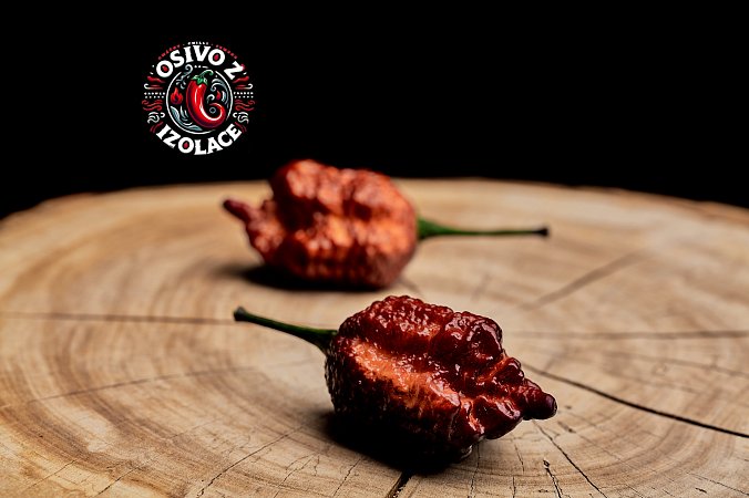 Crazy Boy Pink Peach Cream F8 - ISO | Chilli semena