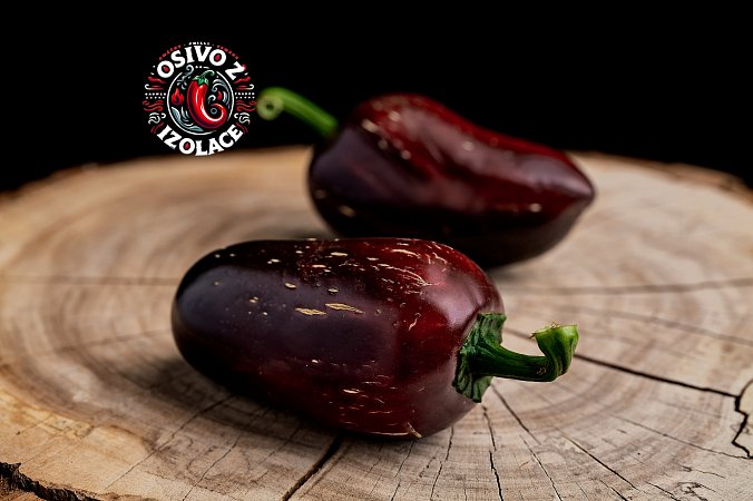 Jalapeno Marocan Black - ISO • | Chilli semena