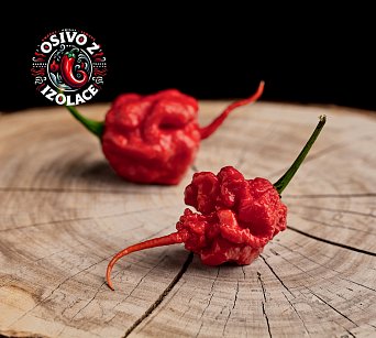 Dragon's Breath Stinger - ISO