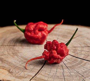 Dragon's Breath Stinger •