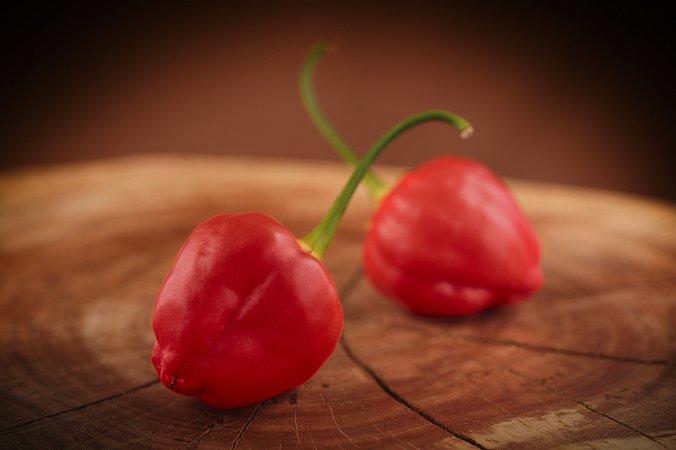 Peppared | Chilli semena