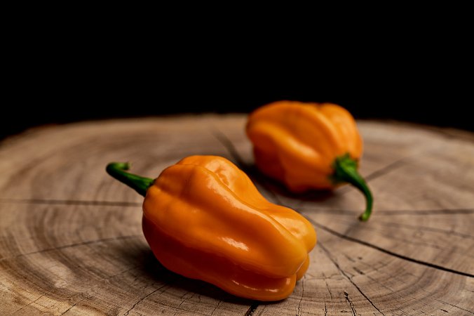 Hainan Yellow Lantern - ISO | Chilli semena