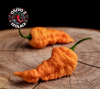 Brain Collapse Peach - ISO