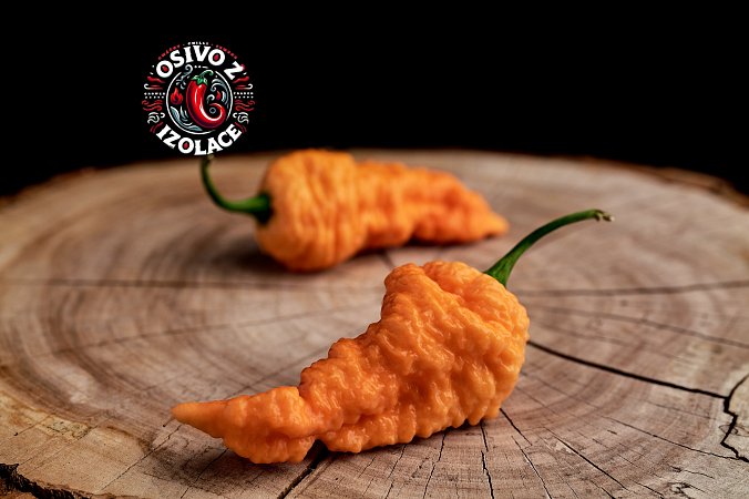 Brain Collapse Peach - ISO | Chilli semena