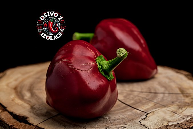 Lesya Red - ISO | Chilli semena