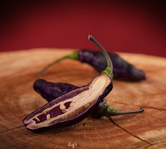 Sweet Neyde GC - ISO