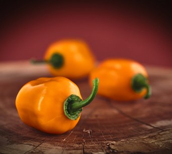 Aji Dulce Amarillo - ISO