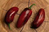 Jalapeno Casablanca - ISO | Chilli semena