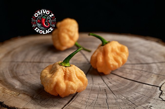 Goat Brains - ISO | Chilli semena