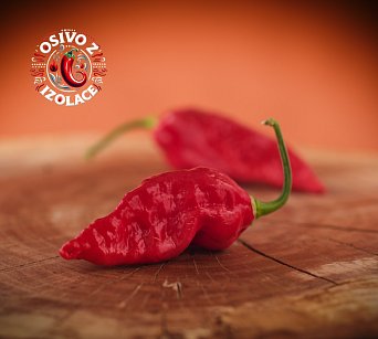 Naga Morich - ISO •