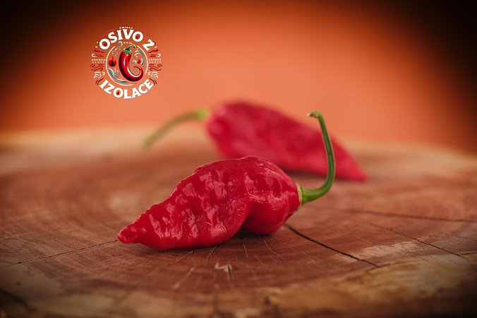 Naga Morich - ISO • | Chilli semena
