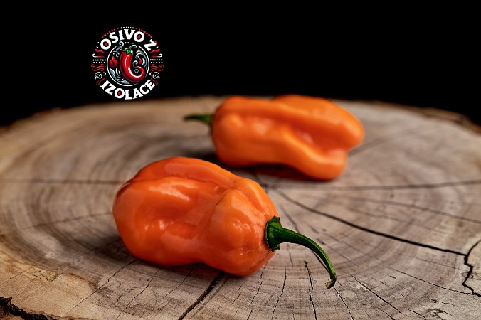 Roger's Giant Orange Habanero - ISO • | Chilli semena
