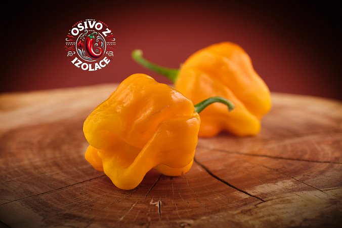Habanero Big Sun - ISO | Chilli semena