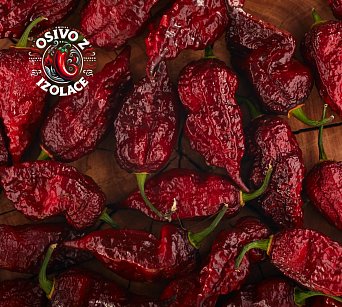 Fox Purple Ghost Gnarly Ruby - ISO