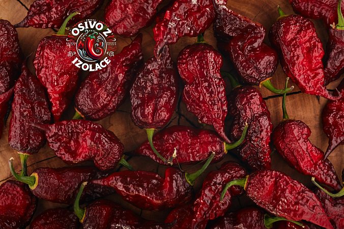 Fox Purple Ghost Gnarly Ruby - ISO | Chilli semena