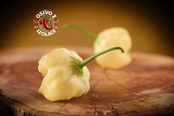 Peppacream NOT Stripey - ISO | Chilli semena