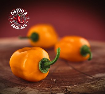 Aji Dulce Amarillo - ISO