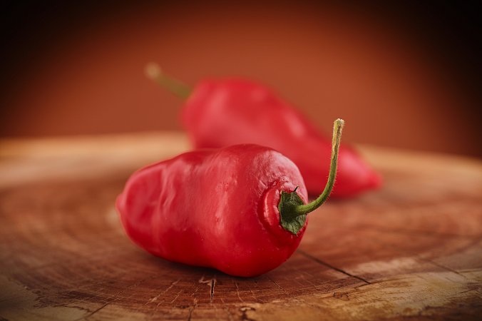 Rocoto Peru X | Chilli semena