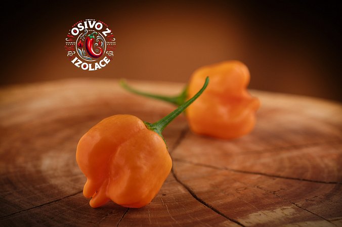 Aji Mango - ISO | Chilli semena