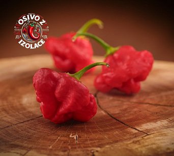 Foodorama Scotch Bonnet - ISO