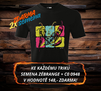 ANDY II - chilli triko