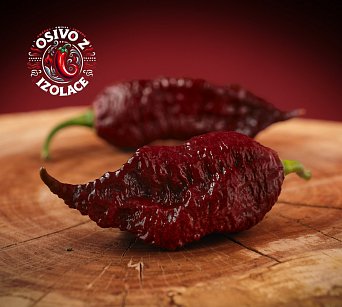 Big Black Mama - ISO •